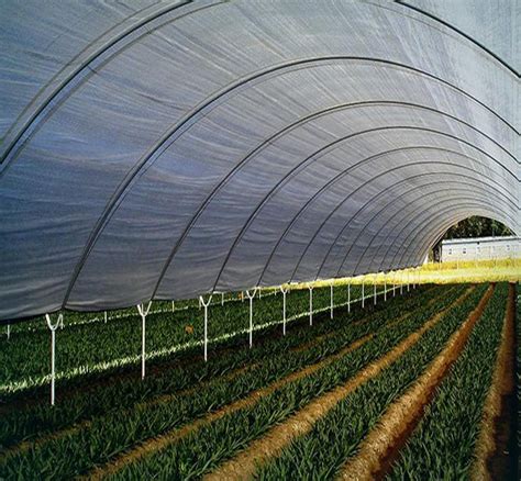 Clear Polythene Sheet Polytunnel Professional Greenhouse Sheeting Cover