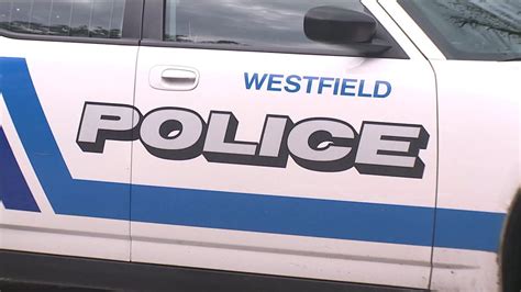 Indianapolis Man Arrested After Chase In Stolen Vehicle Westfield