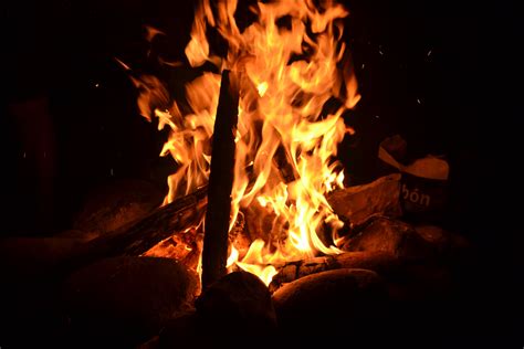 Free Images Tree Wood Smoke Flame Fire Darkness Camping