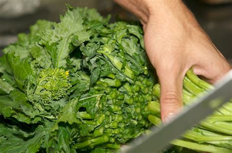 What Is Broccoli Rabe And How Is It Different From Broccoli Recette