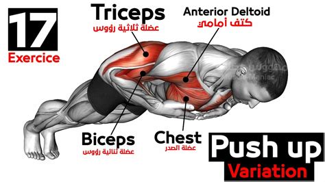 Push Up Variation 17 Exercice Youtube