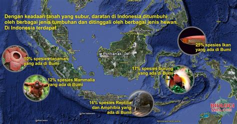 Keanekaragaman Hayati Di Indonesia Dunia Biologi
