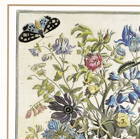 May Winterthurs Vintage Botanical Print 12 Month Of Flowers Etsy