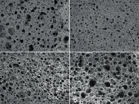 Micrographs Of The Four Types Of Porous Glass Ceramics Developed A