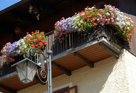 Plantas colgantes artificiales para macetas, jardineras, repisas o balcones. Plantas para balcones y terrazas | Plantas