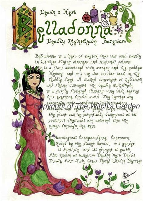 Green witches are often quite attuned to the cycles of nature and may (or not) practice astrology as a way to enhance this connection. Pin on Practical Magic