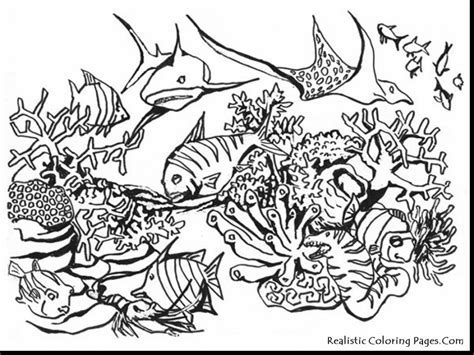Realistic Sea Life Coloring Pages at GetColorings.com | Free printable