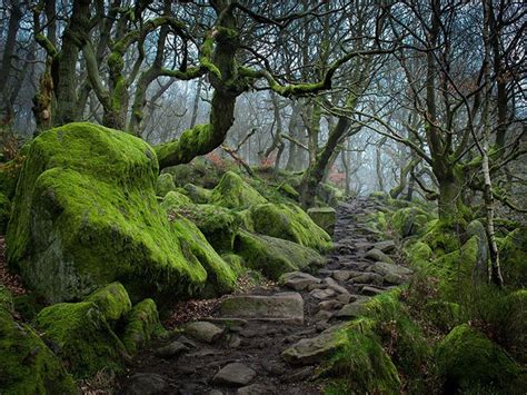 25 Stunning Paths You Need To Walk Before You Die Page 5 Of 25