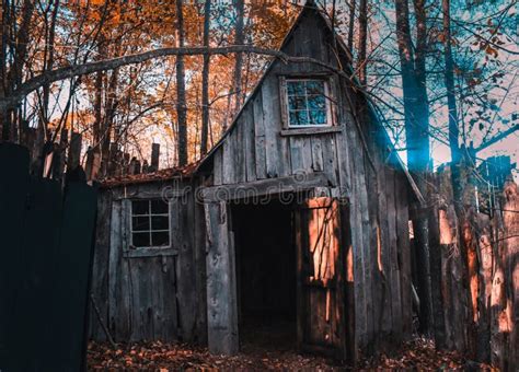 creepy shack stock image image of forest woods haunted 252999629