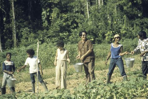 Peoples Temple Members Working In Water Brigade To Irrigate Crops Jonestown Guyana Unknown