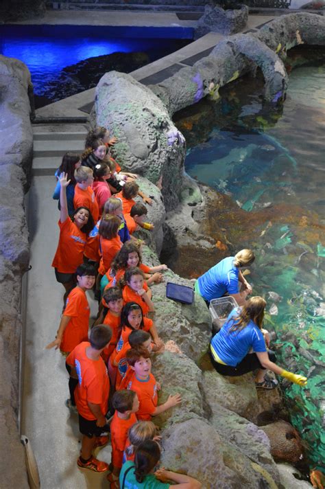 Go Behind The Scenes At Ripleys Aquarium With Summer Day Camps Urbanmoms