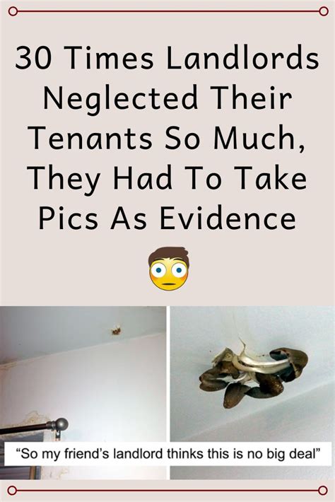 30 Times Landlords Neglected Their Tenants So Much They Had To Take Pics As Evidence Really