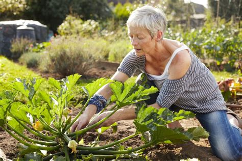 Bei der Gartenarbeit den Rücken entlasten 5 Tipps myHOMEBOOK