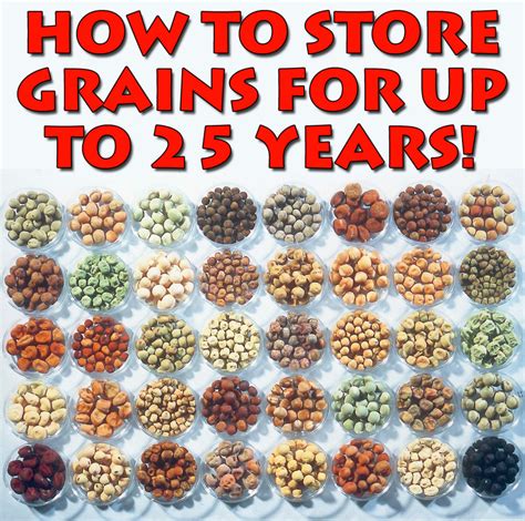 Why build a food storage? The Survival Guide To Long Term Food Storage - Earth ...