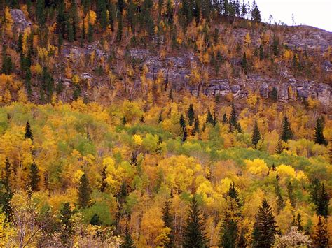 When And Where To Expect South Dakotas Fall Foliage To Peak This Year