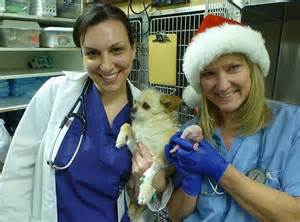 Miracle Puppy Declared Stillborn At Aurora Animal Shelter In Colorado