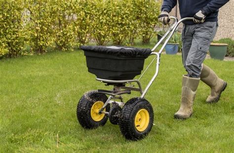 How To Overseed Your Cool Season Lawn This Fall Scientific Plant Service