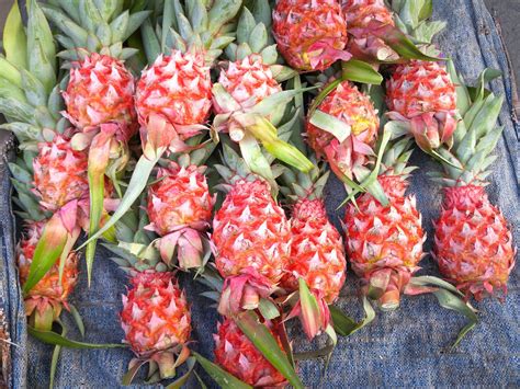 Pink Pineapples Now Exist And Theyre Quite The Peculiar Sight