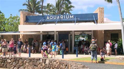 Waikiki Aquarium Offering Guided Hawaii Plant Tour Khon2