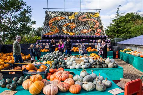 Whole Display Of Pumpkins 2017 Theme This Year Snakes An Flickr