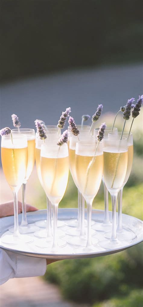 Champagne and lavender | Bridal shower champagne, Wedding drink, Champagne