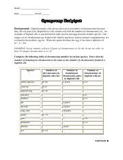 Prophase i is a stage sw science 10 mitosis worksheet answers free worksheets library from mitosis worksheet mitosis worksheet answer key | homeschooldressage.com talking concerning labeling meiosis worksheet. meiosis.docx - Name Date Student Exploration Meiosis ...
