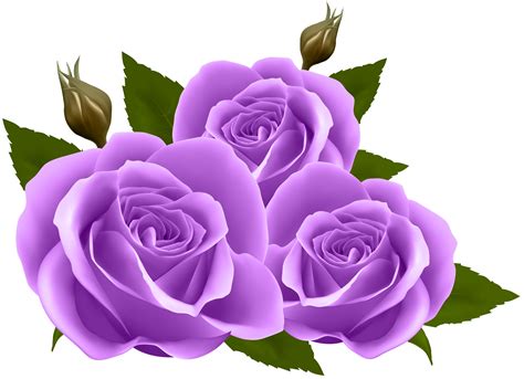Clip Art Purple Roses 20 Free Cliparts Download Images On Clipground 2021