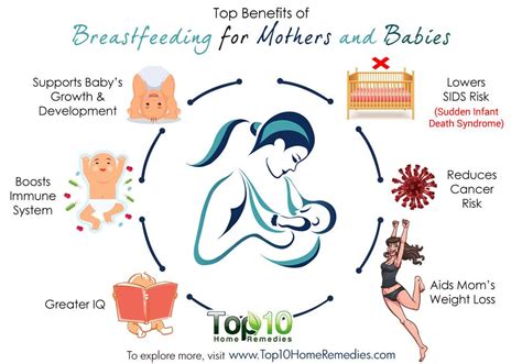 Top Benefits Of Breastfeeding For Mothers And Babies Top Home