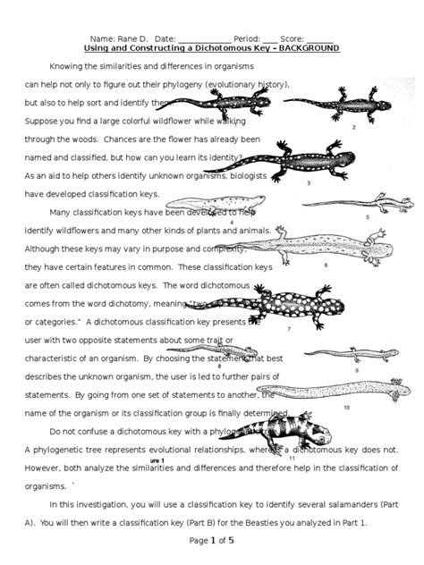 Classification skills and reading of dichotomous keys. dichotomous key lizard | Taxonomy (Biology) | Species