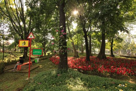 Taman Pustaka Bunga Bandung Garden Idea