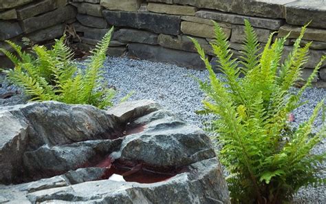 Rock Garden Boulders Modern Ferns Modern Garden Design
