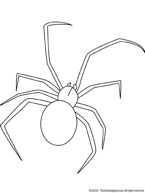 Black Widow Spider Coloring Page Audio Stories For Kids Free