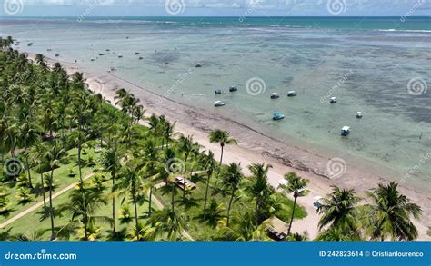 Praia De Patacho Em Sao Miguel Dos Milagres Alagoas Brasil Filme