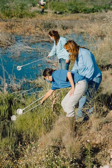 Find out more about the life cycle, local mosquitoes in alameda county, and the species located in california. Mosquito Larvae Hunt with Ada County Commissioner Diana ...
