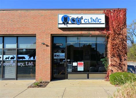 Veterinary surgeon in seattle, washington. Cat Clinic Mt Gravatt Opening Hours