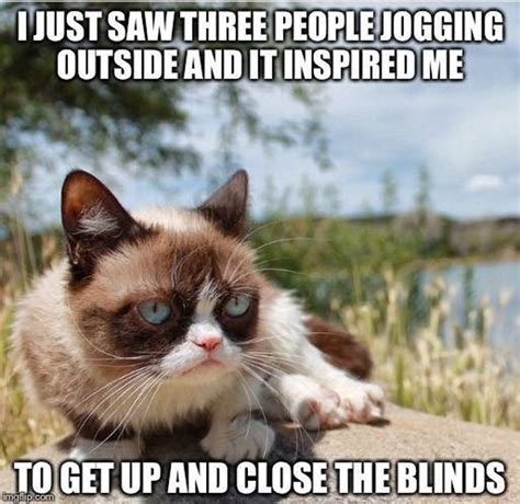 20 Grumpy Cat Memes Grumpy Cat Quotes Grumpy Cat Humor Cat Quotes Funny