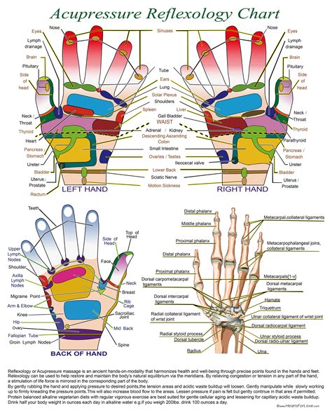 Acupressure Reflexology Chart With Precise Hand Diagrams Etsy