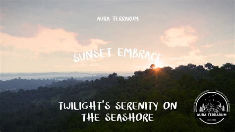 Sunset Embrace: Twilight's Serenity on the Seashore | Relaxing Sounds