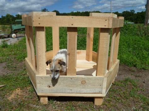 Sheep Hay Feeder Looks Easy To Build And You Could Use It With Square