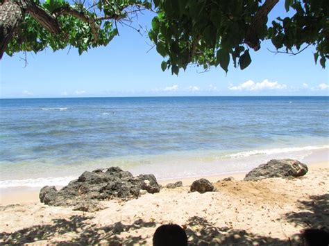 Haleiwa Alii Beach Park 2020 All You Need To Know Before You Go With
