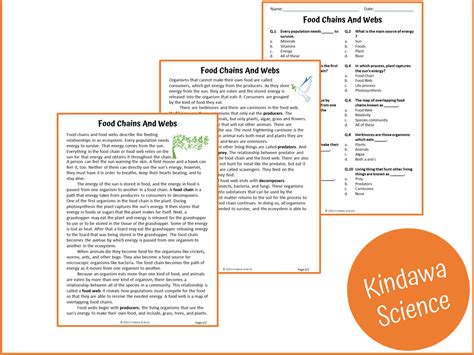 Food Chains And Webs Reading Comprehension Passage And Questions Pdf