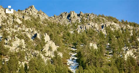Green Pine Trees Near Mountain Under Blue Sky During Daytime Photo