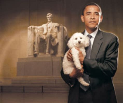 Obama Busca Mascota Vea Aquí Todos Los Perros De La Casa Blanca El