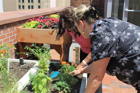 Whats New In Horticultural Therapy At Magee Summer Update Magee