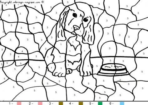Coloriages magiques animaux  Animal domestique  Coloriages magiques