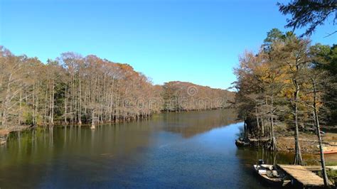 Big Cypress Bayou River At Caddo Lake State Park Stock Image Image Of Environment Water
