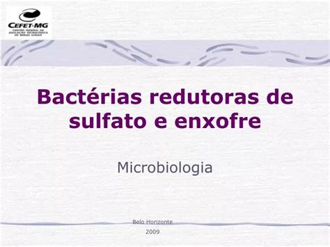 Ppt Bactérias Redutoras De Sulfato E Enxofre Powerpoint Presentation