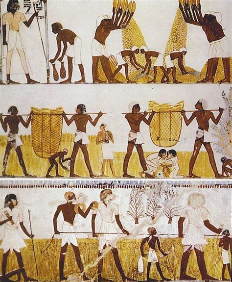 Ancient Egyptian Painting Showing Everyday Life Found In The New
