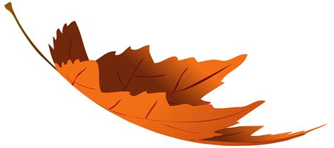 Autumn Leaf Color Autumn Leaf Color Clip Art Autumn Leaves Png