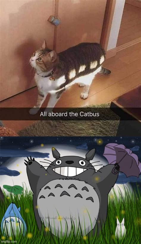 Share 64 Anime Cat Memes Incdgdbentre